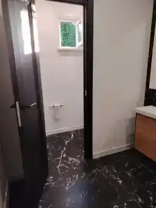 Зебра - 2
