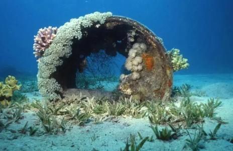 Star Of Dahab - 19