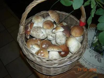 b&b La Montanara - 25