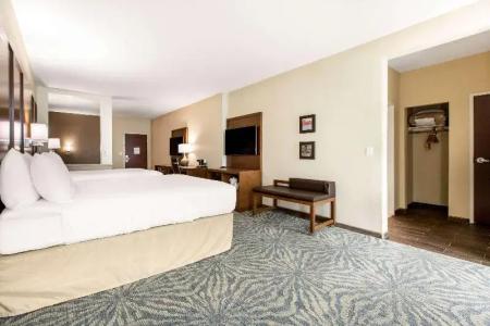 Comfort Suites - South Austin - 32