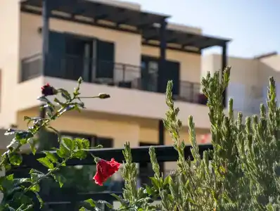 Anastasia Stalis - 0