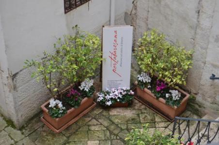 b&b Porta Baresana - 40