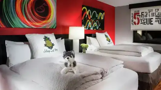 Staypineapple, Five, Downtown Seattle - 2