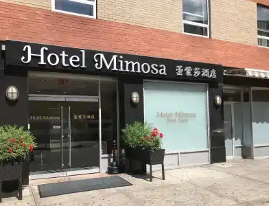 Mimosa - 29