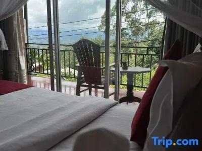 The Ella Nature Life Guest Inn - 45