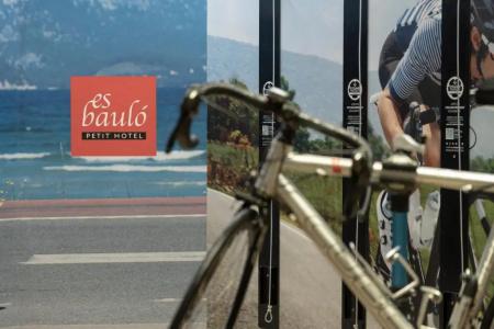 Es Baulo Petit - 37