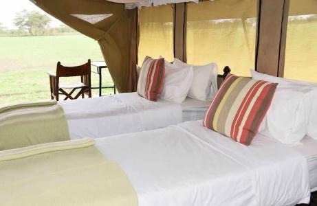 Polo Safari Club - 1