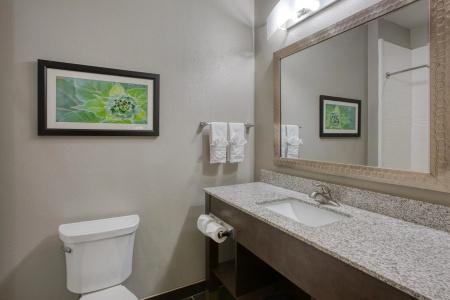Best Western Plus Tech Medical Center Inn - 85
