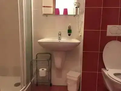 Záviš z Falkenštejna - 28