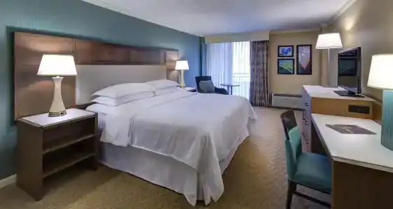 Sheraton Sand Key - 45