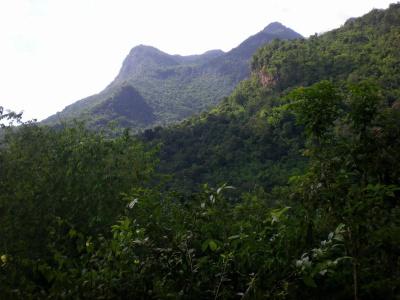 Chiang Dao Roundhouses - 2