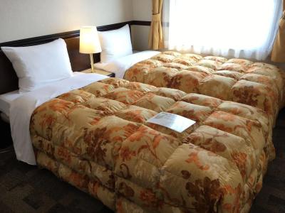Toyoko Inn Airport - 34