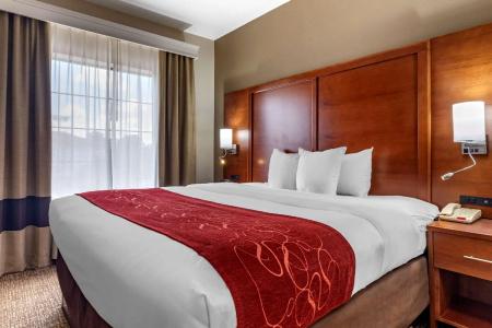 Comfort Suites West I-20 - 35