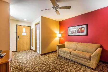Quality Inn & Suites Chesterfield Village - 28