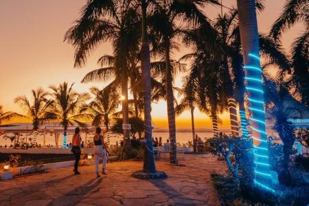 Coral Beach - 42