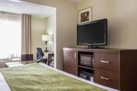 Comfort Suites at Tucson Mall - 39