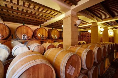 Agriturismo Baglio Donnafranca Wine Resort - 15