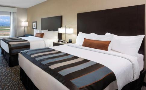 Wingate by Wyndham Denver Airport - 6