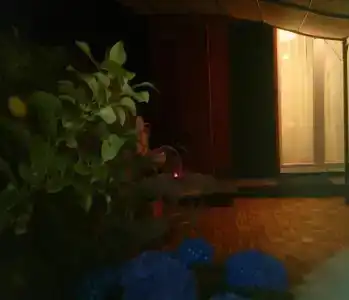Dreams Guest House - 7