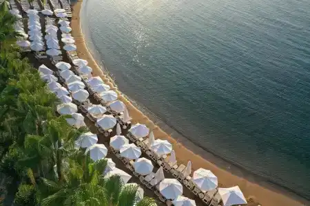Land Of Paradise - 19