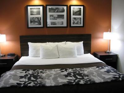 Sleep Inn - 52