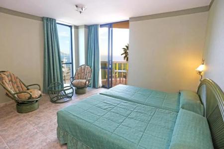 Kaktus Albir - 63