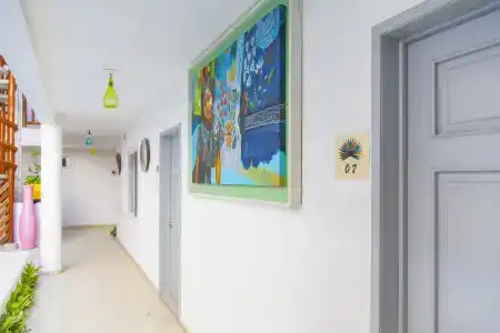 Mestizo Gallery - 13