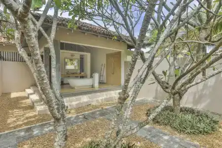 The Frangipani Tree by Edwards Collection - 62