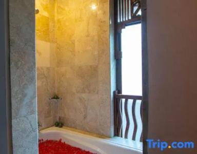 Alam Puri Art Museum Resort & Spa - 129