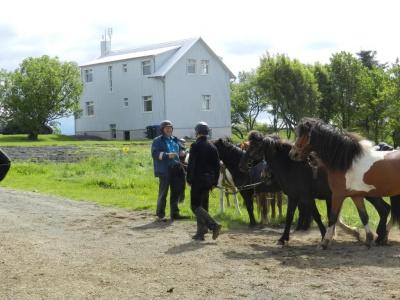 Farmer's - 35