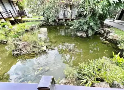 The Blossom Resort – Onsen & Foot Massage Inclusive - 367
