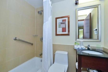 Holiday Inn Express Manhattan Midtown West, An Ihg - 42