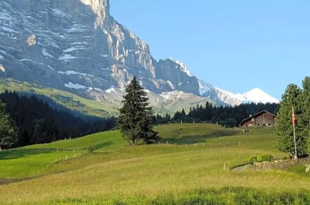 Aspen Alpine Lifestyle - 38