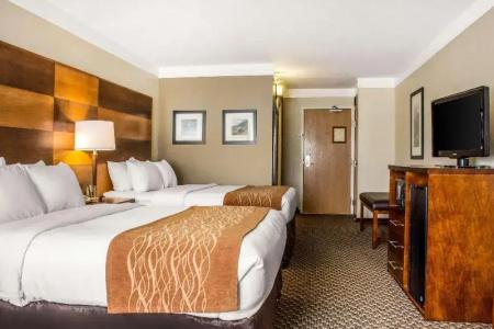 Comfort Inn & Suites - 52