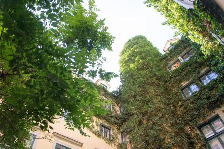 Mailberger Hof - 33