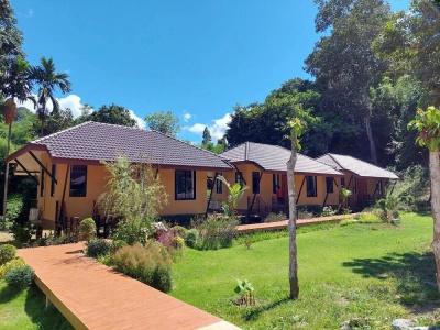Khaosok Rainforest Resort - 161