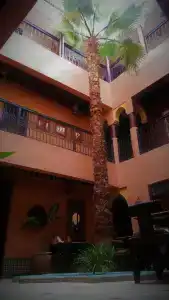 Riad Ajebel - 16