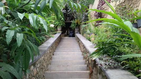 Ridee Villa - 8