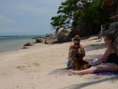 Blue Hill Beach Resort by Le Palais - 19