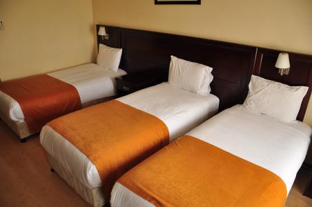 Eser Diamond Spa & Convention Center İstanbul - 4