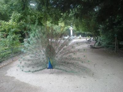 Colón Plaza - 126