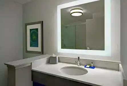 Holiday Inn Express - Houston - Galleria Area, An Ihg - 73