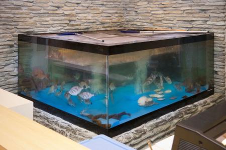 Onomichi Kokusai - 17