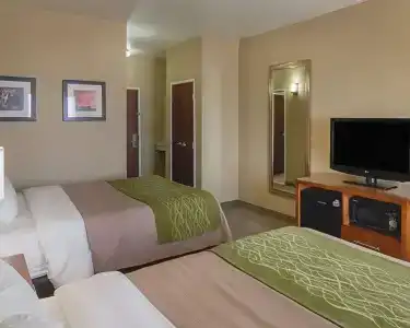 Comfort Inn South I-20 - 2