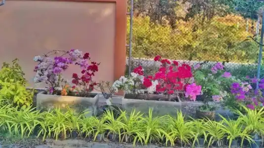 Elegancy Resort Hua Hin - 51