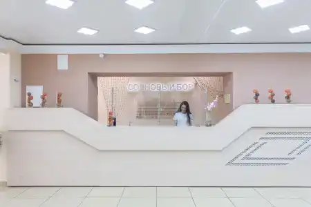 Сосновый бор - 17