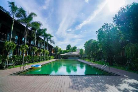 The Buffalo Amphawa - 11