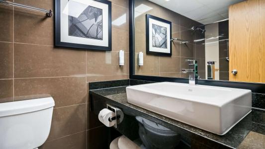 Best Western Plus Village Park Inn - 62
