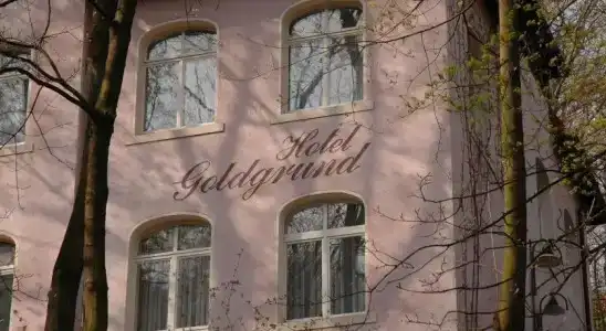 Prima Goldgrund - 0