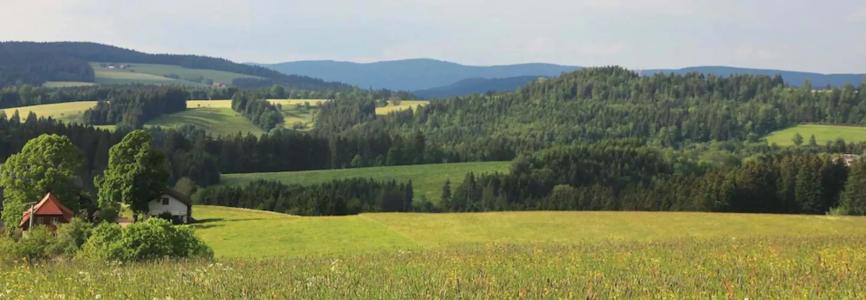 LandRebstock - 5